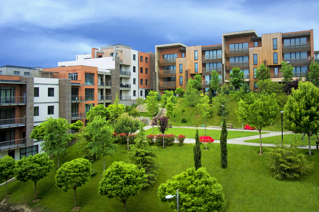 მწვანე უბანინი ლისზე